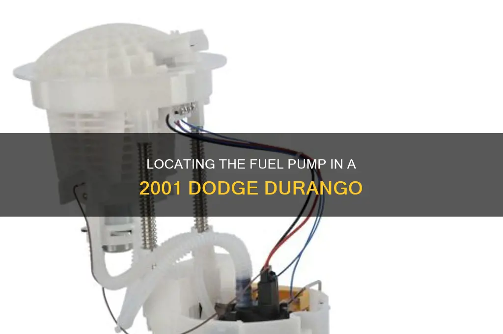 where is fuel pump 2001 dodge durango