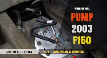 Locating the Fuel Pump in a 2003 Ford F150