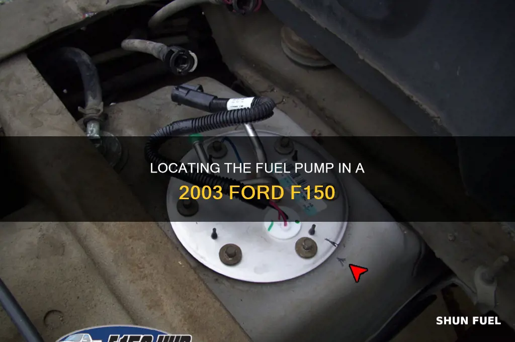 where is fuel pump 2003 f150