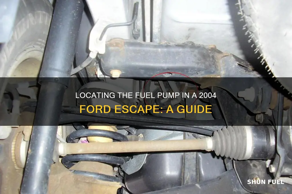where is fuel pump 2004 ford escape