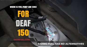 Locating the Fuel Pump in a 2003 Ford F-150