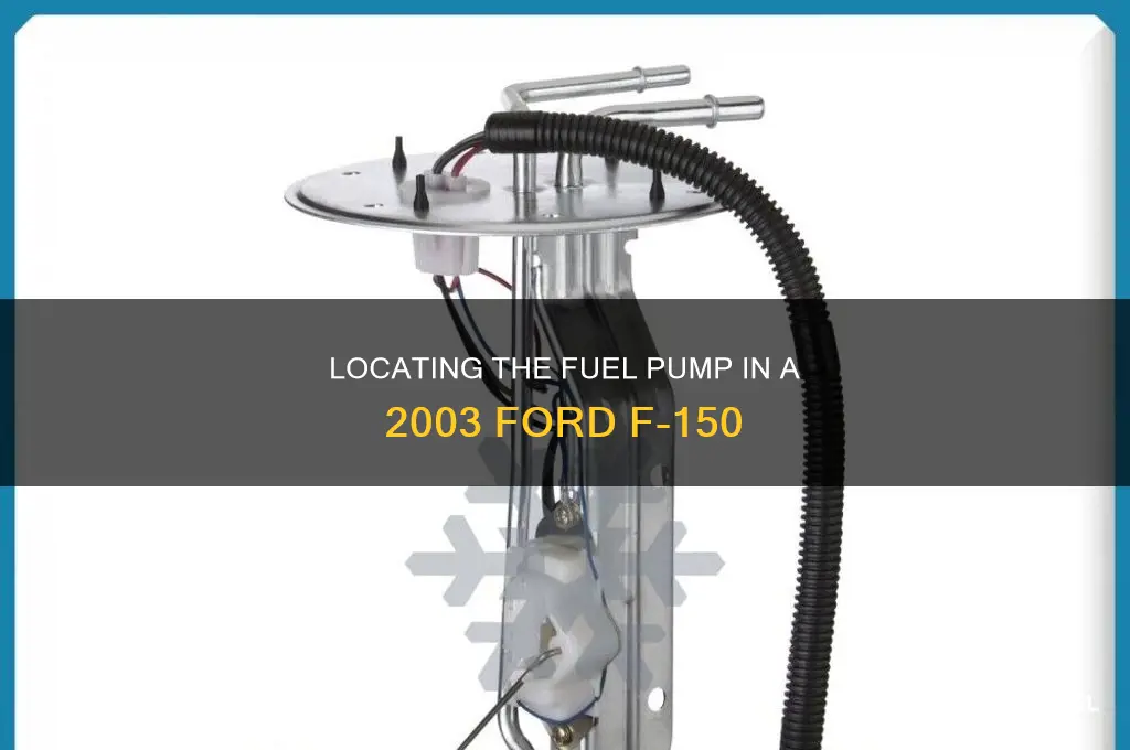 where is fuel pump and 2003 for deaf 150