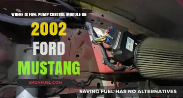 Locating the Fuel Pump Control Module on a 2002 Ford Mustang