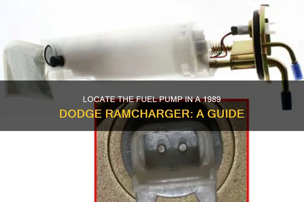 where is fuel pump dodge 1989 ramcharger