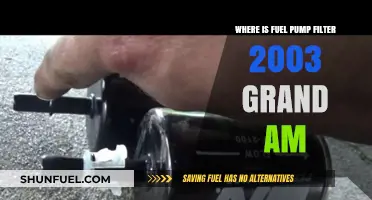 Fuel Pump Filter Location in 2003 Grand Am