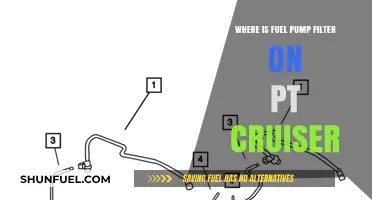 Fuel Pump Filter: PT Cruiser Maintenance Guide