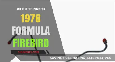 Locating the Fuel Pump in a 1976 Formula Firebird