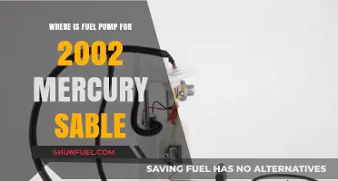 Locating the Fuel Pump in a 2002 Mercury Sable