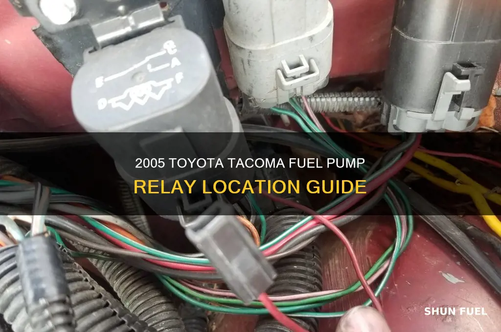 where is fuel pump for tacoma 2005 relay located