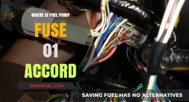 Locate the Fuel Pump Fuse in Your 2001 Honda Accord