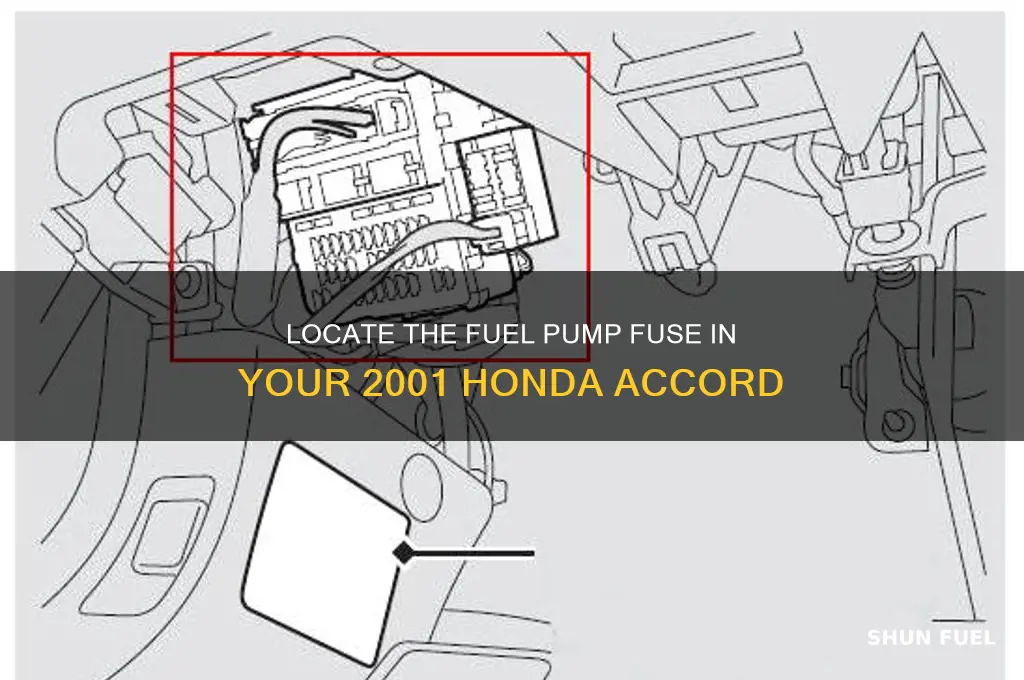 where is fuel pump fuse 01 accord