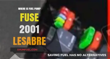 Locating the Fuel Pump Fuse in a 2001 LeSabre