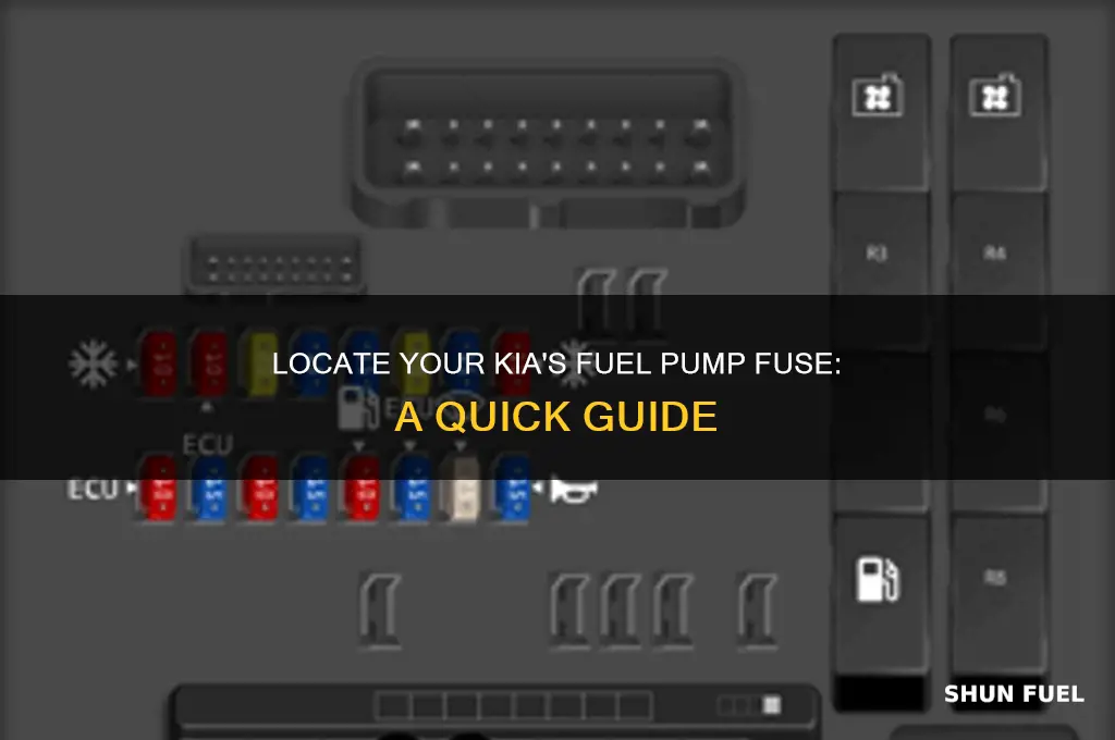 where is fuel pump fuse located on kia