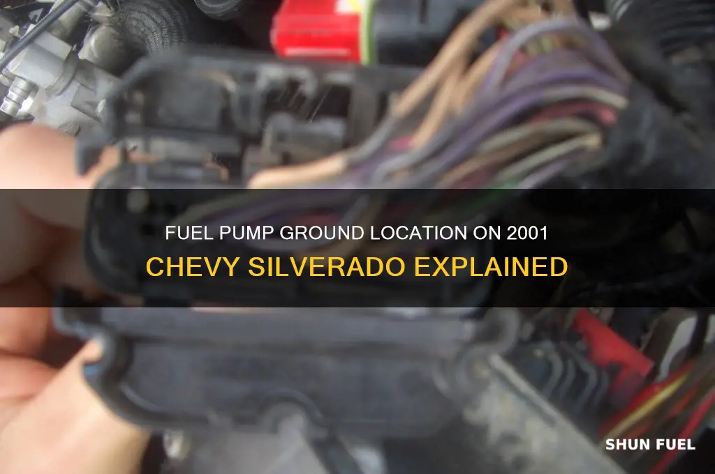 where is fuel pump grounded on 2001 chevy silverado
