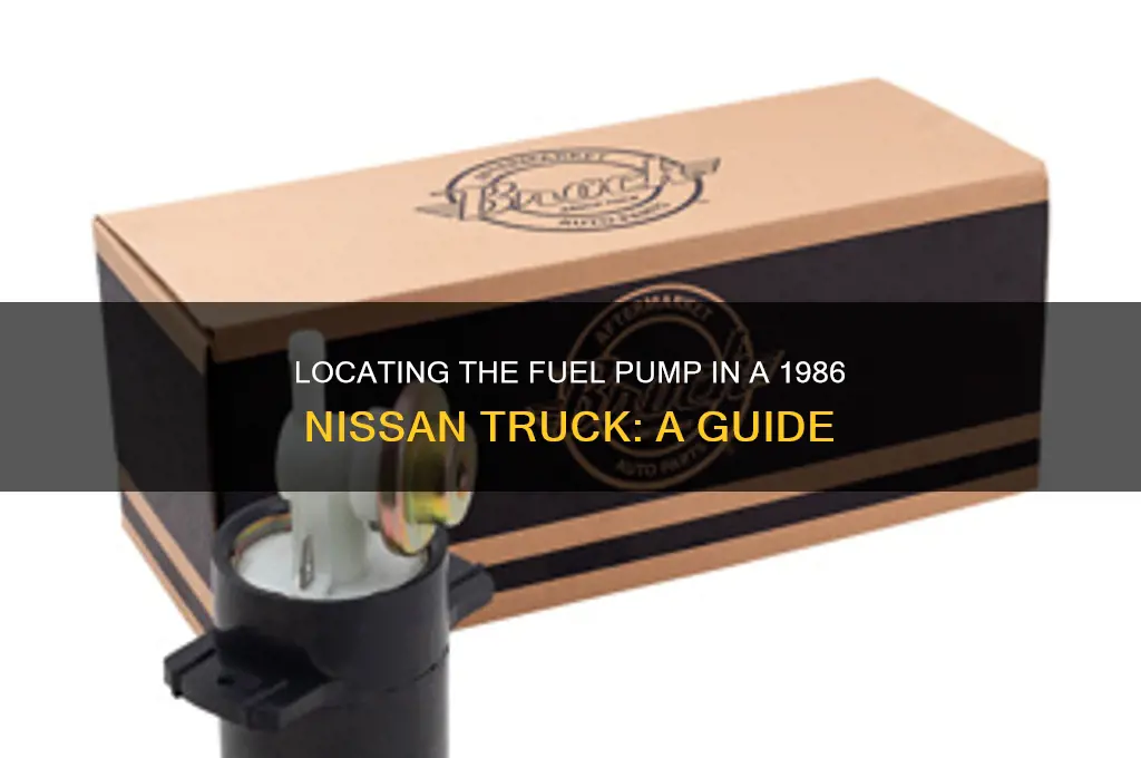 where is fuel pump in 1986 nissan truck