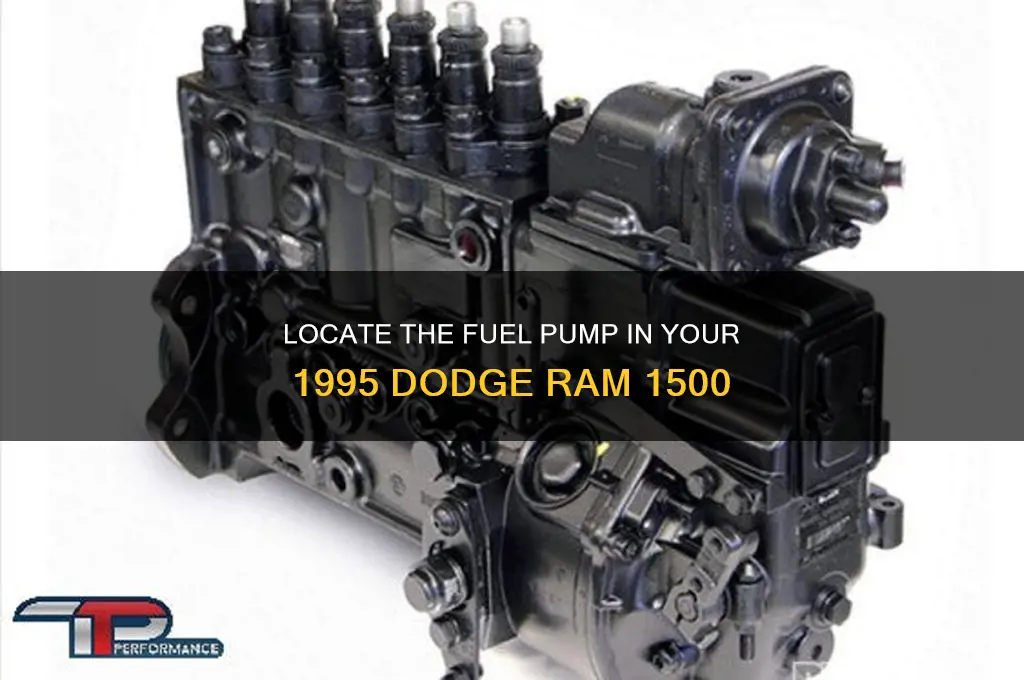 where is fuel pump in 1995 dodge ram 1500