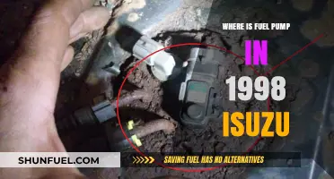 Locating the Fuel Pump in a 1998 Isuzu Vehicle