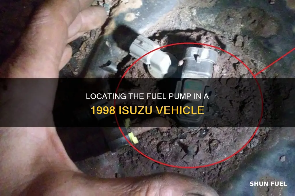 where is fuel pump in 1998 isuzu