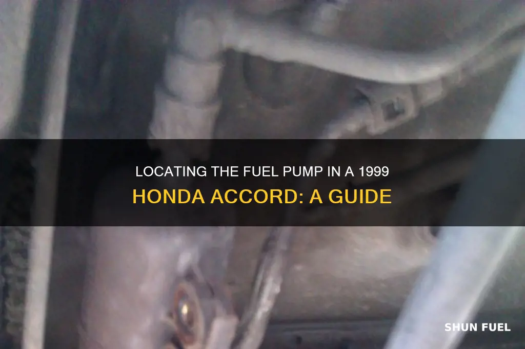 where is fuel pump in 1999 honda accord