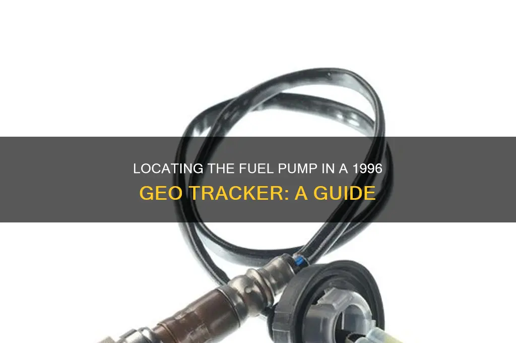 where is fuel pump in 96 geo tracker