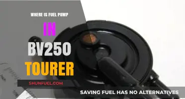 Locate the Fuel Pump in Your BV250 Tourer: A Quick Guide