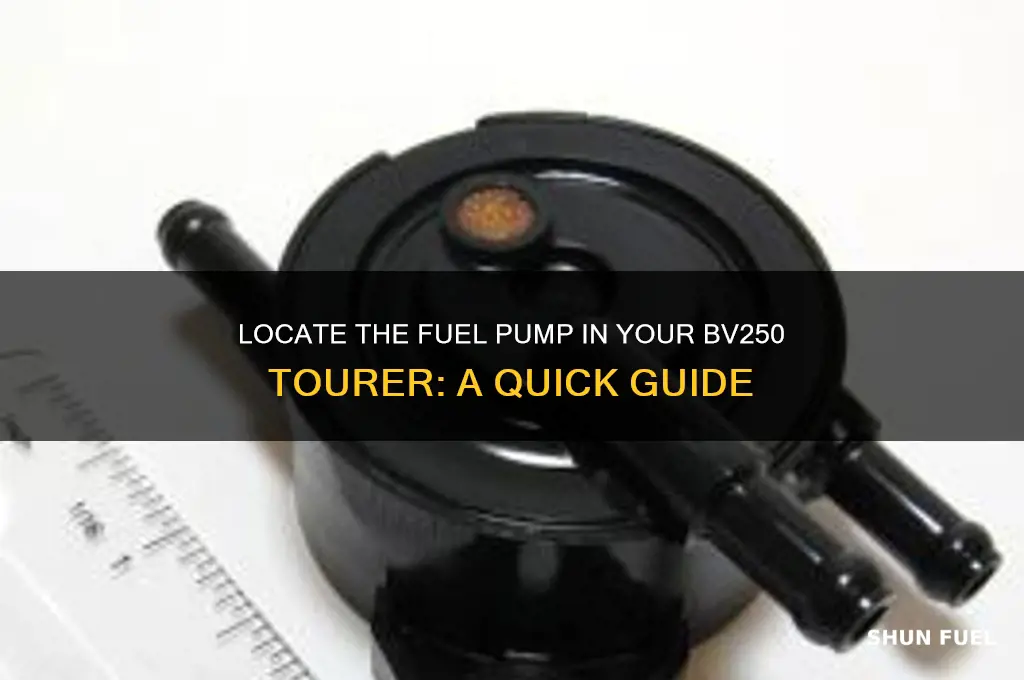 where is fuel pump in bv250 tourer