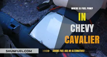 Locate Your Chevy Cavalier's Fuel Pump: A Quick Guide