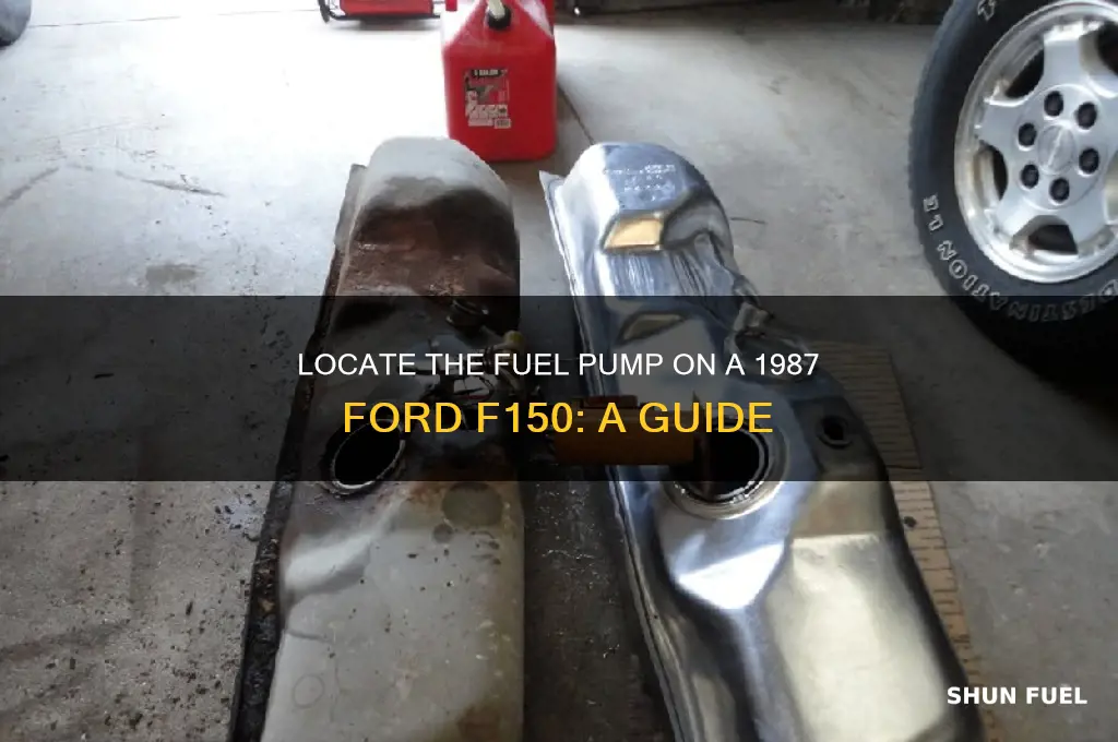 where is fuel pump loacated on 1987 ford f150