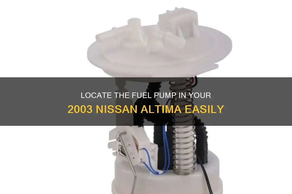 where is fuel pump located 03 nissan altima