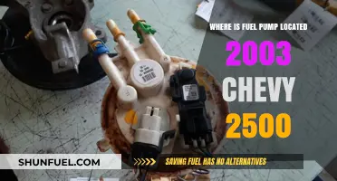 Locate the Fuel Pump in Your 2003 Chevy 2500 Easily