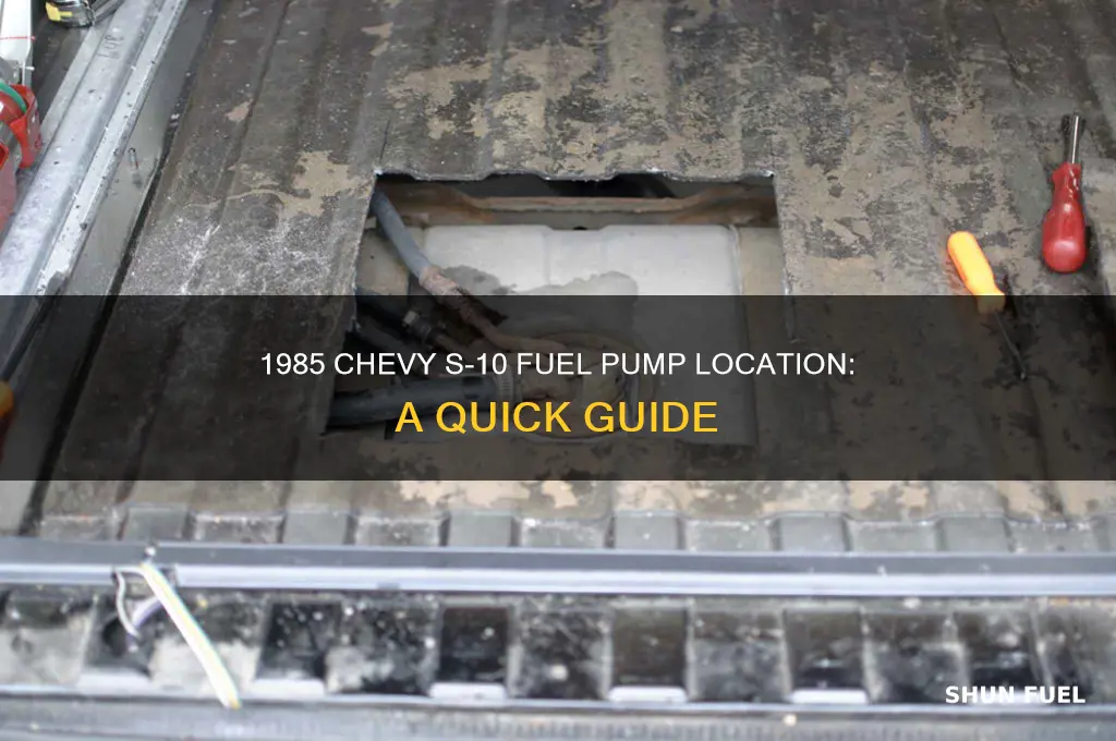 where is fuel pump located in 1985 chevy s 10