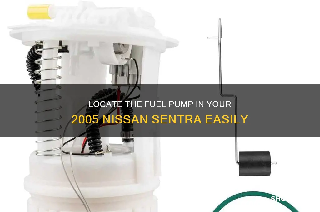 where is fuel pump located in 2005 sentra