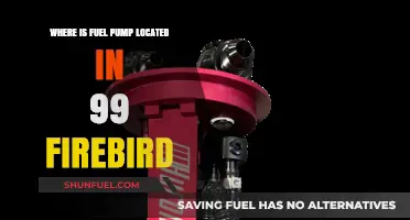 Finding the Fuel Pump in a 1999 Firebird: Location Guide