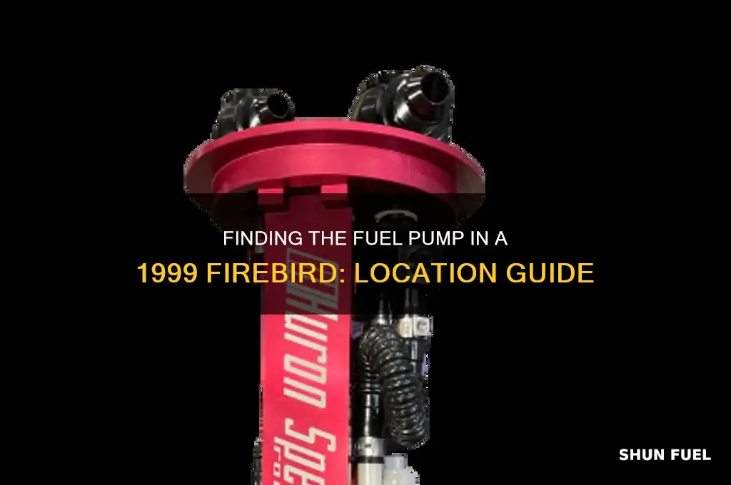 where is fuel pump located in 99 firebird