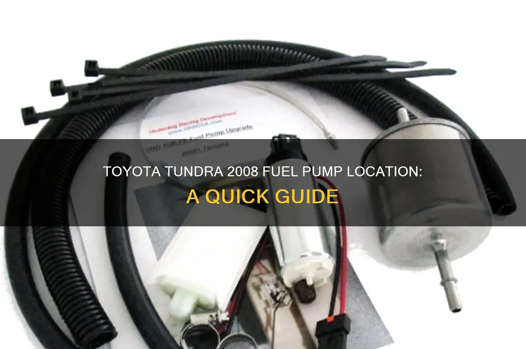 where is fuel pump located in toyota tundra 2008