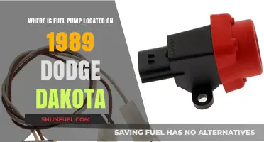 Finding the Fuel Pump in a 1989 Dodge Dakota