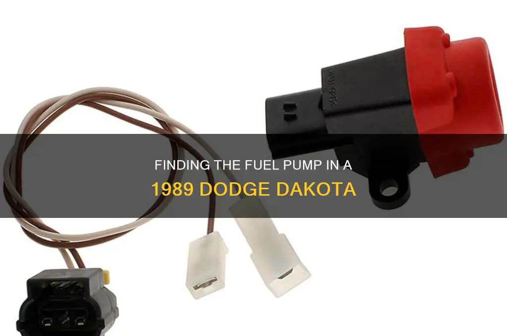 where is fuel pump located on 1989 dodge dakota