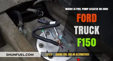 Finding the Fuel Pump in a 2001 Ford F150 Truck