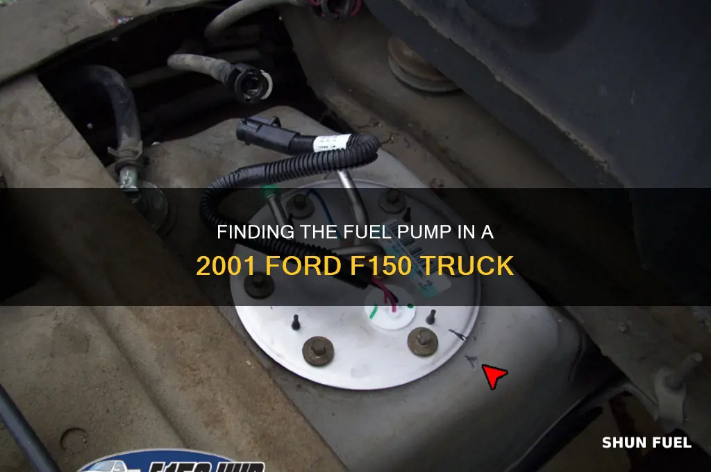 where is fuel pump located on 2001 ford truck f150