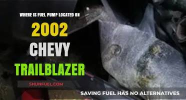 Locate the Fuel Pump in Your 2002 Chevy Trailblazer Easily