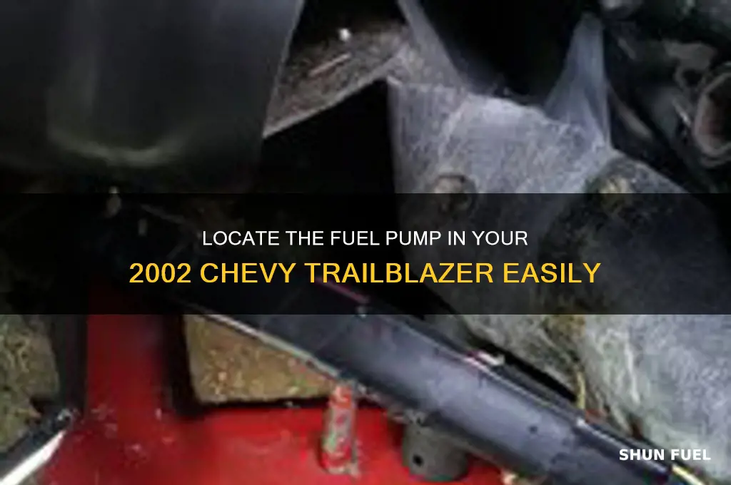 where is fuel pump located on 2002 chevy trailblazer