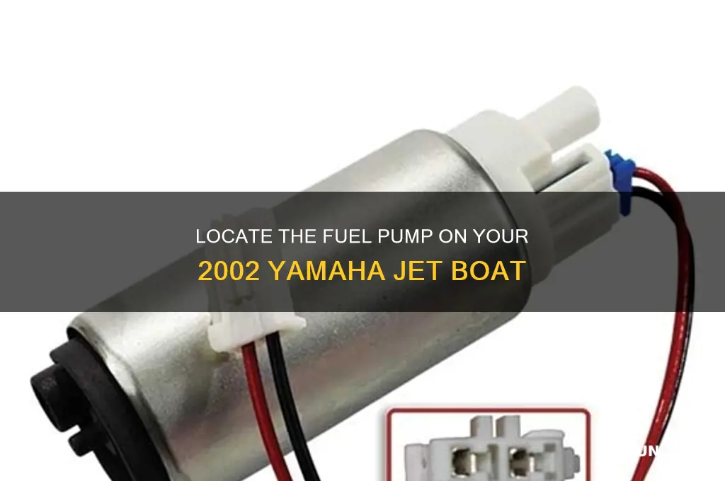where is fuel pump located on 2002 yamaha jet boat
