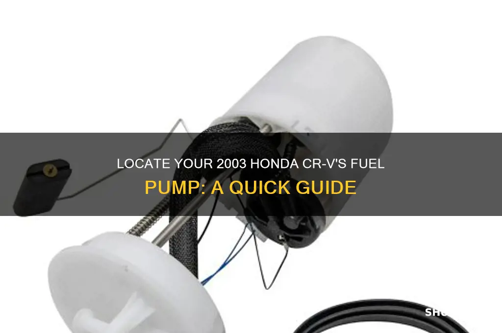 where is fuel pump located on 2003 honda crv