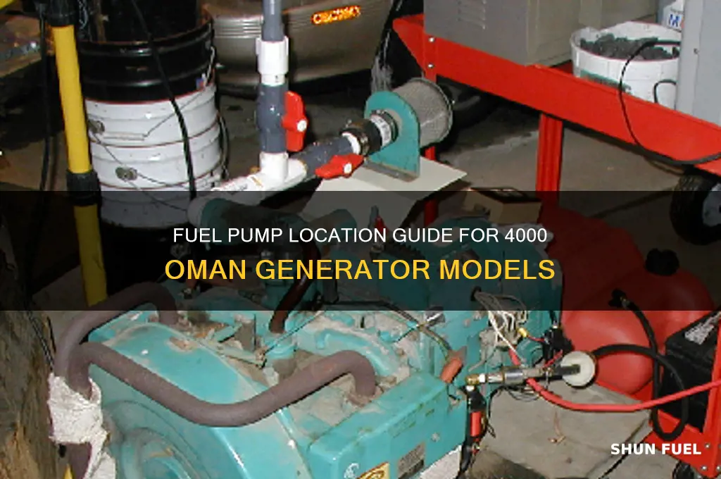 where is fuel pump located on 4000 oman generator