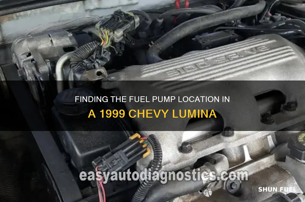 where is fuel pump located on 99 lumina