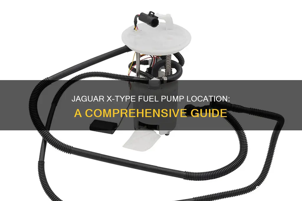 where is fuel pump located on jaguar x type