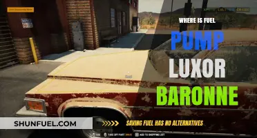 Fuel Pump Luxor Baronne Location Guide: Where to Find It