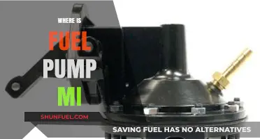Where to Find Fuel Pump MI: A Comprehensive Location Guide