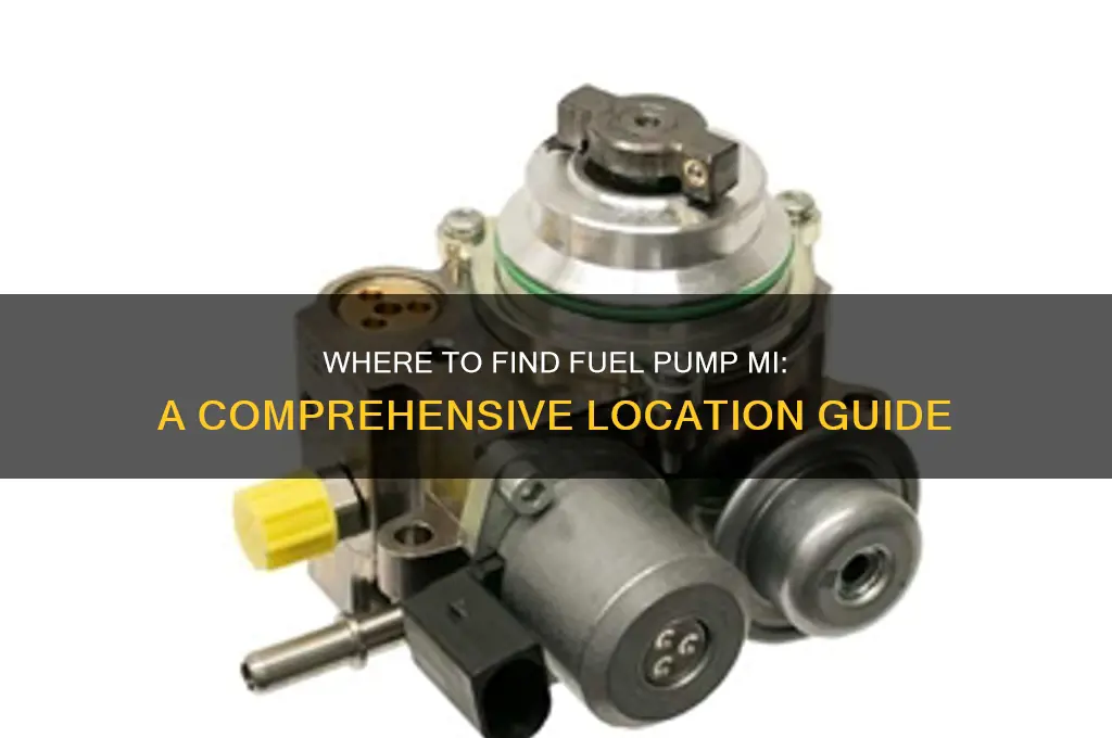 where is fuel pump mi