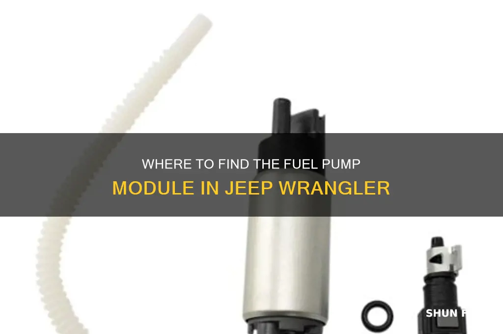 where is fuel pump module jeep wrangler